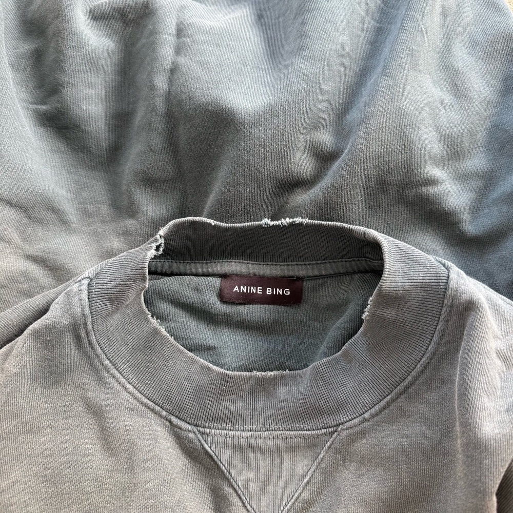 Anine Bing Jaci Sweatshirt in Washed Faded Green - Picture 6 of 6